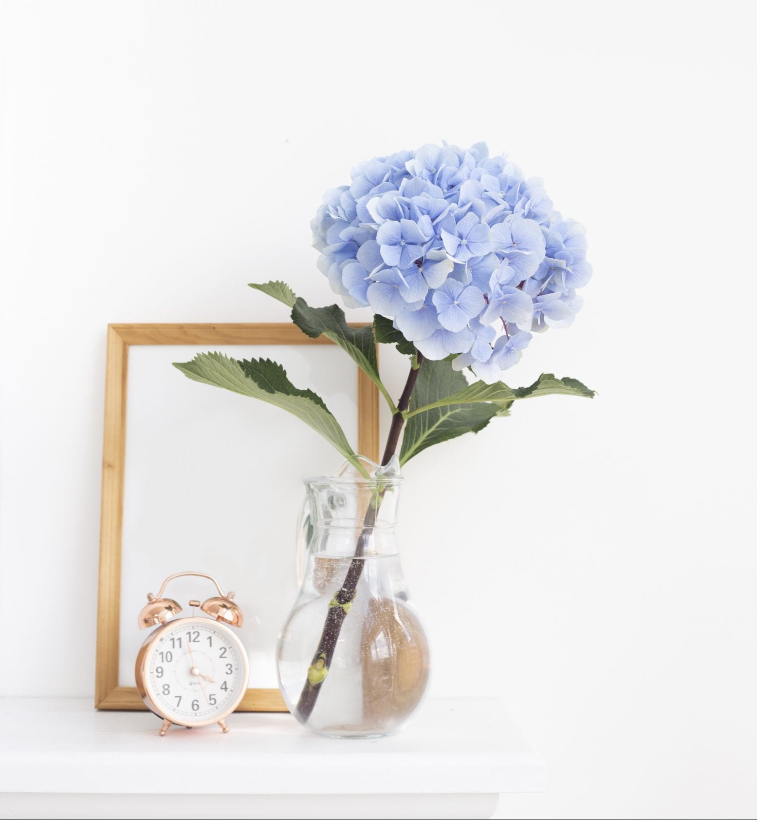 Hydrangeas