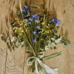 bouquet of pansies
