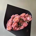 peony roses