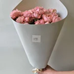 peony roses