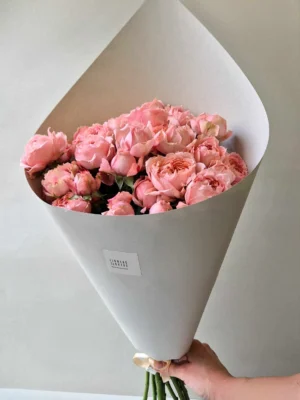 peony roses