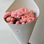 peony roses