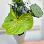 Green freshness