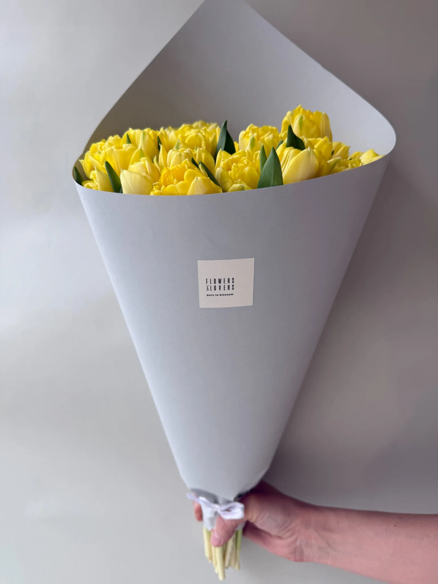 Yellow Peony Tulips