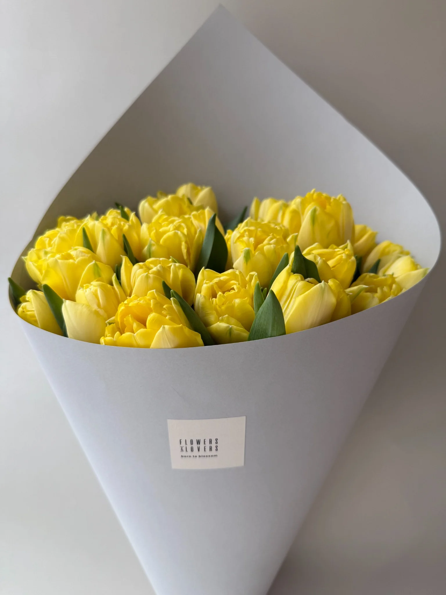Yellow Peony Tulips