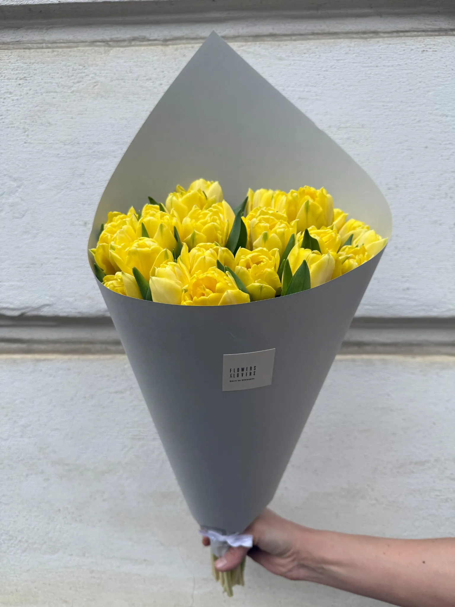Yellow Peony Tulips